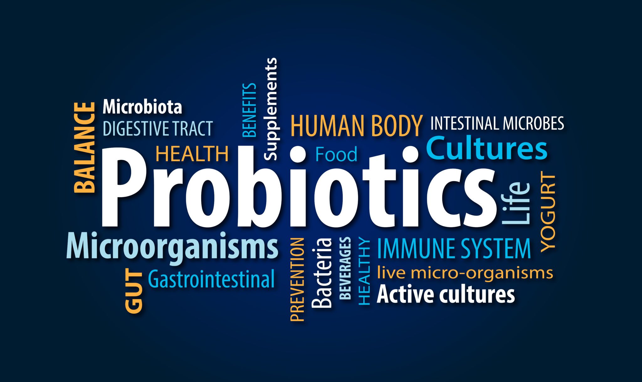 Word cloud illustrating key terms related to probiotics, gut health, microorganisms, immune system, and digestive tract benefits.